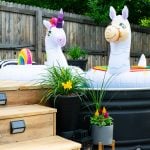 Two inflatable pool floats shaped like a unicorn and a llama are placed in a small backyard pool. The scene is surrounded by wooden decking, potted plants, and a wooden fence in the background. Bright, sunny day.
