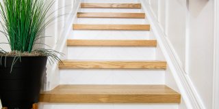 A staircase with light wood stair treads and white risers ascends, flanked by pristine white walls. A potted plant with tall, thin green leaves sits on the left side. At the top, a glimpse of a room is visible.